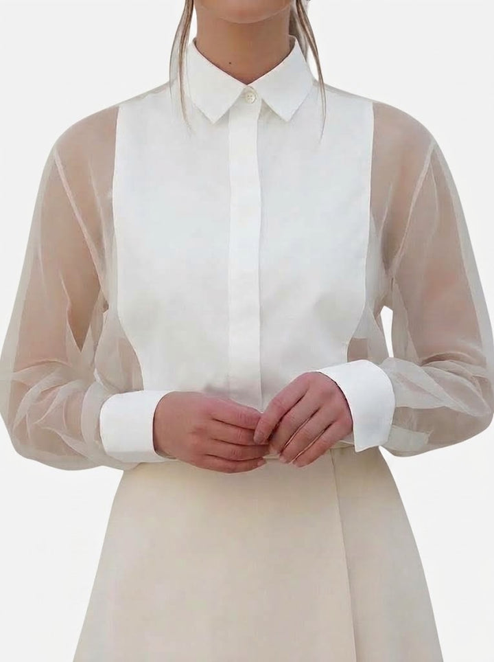 Kvinnors Genomskinliga Organza Ärmar Blus – Elegant Kragstil för Kontor och Speciella Evenemang